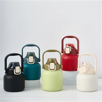 800 مل الفولاذ المقاوم للصدأ مزدوجة الجدار فراغ مقبض معزول زجاجة ماء